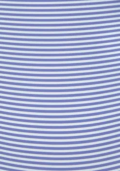Badeanzuge|LASCANA Badeanzug Gestreift-Blau-Weis