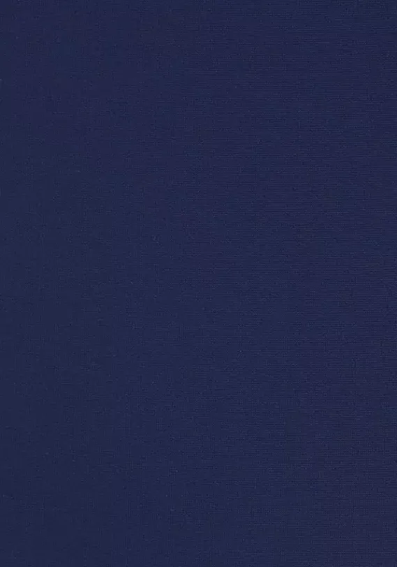 LASCANA Badeanzuge<Badeanzug"Dance"