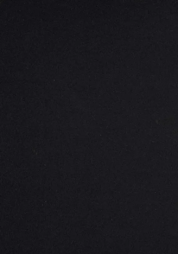 Badeanzuge|LASCANA Badeanzug"Scallop" Schwarz