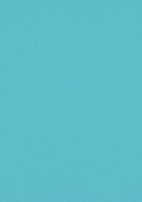 Bikini-Unterteile|LASCANA ACTIVE Bikini-Hose"Janni" Turkis