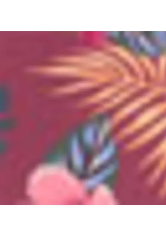 Bikini-Unterteile|s.Oliver Bikini-Hose"Marika" Rostrot-Bedruckt