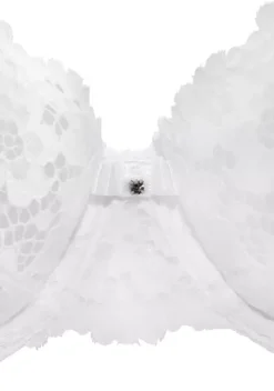 LASCANA Grose Cups<Bugel-Bh