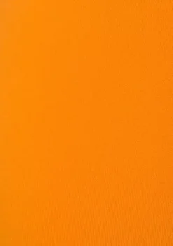 Bench. Shorts<Funktionsshorts