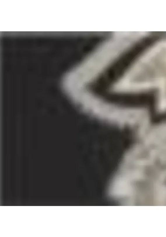 Damenshirts|LASCANA Longshirt Bedruckt