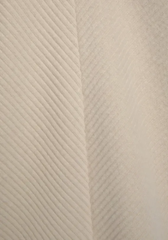 Homewear-Oberteile|s.Oliver Sweatshirt"-Langarmshirt Mit V-Ausschnitt" Creme