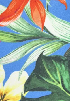 Triangel-Bikinis|Venice Beach Triangel-Bikini-Top